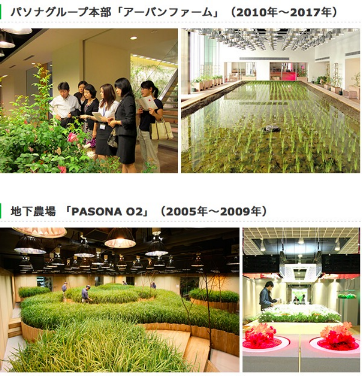 1689217622753169.png 副本PASONA集团262.png